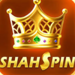 Shah Spin Game