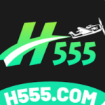 H555 Game